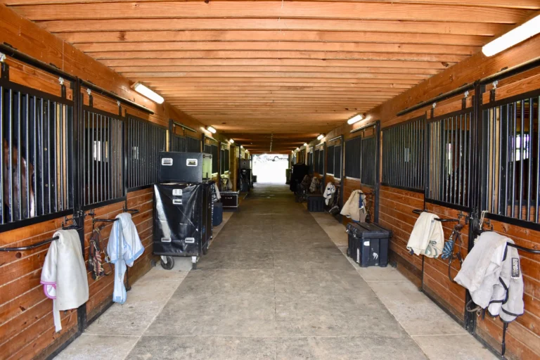 Code Four Show Stalls 768x512