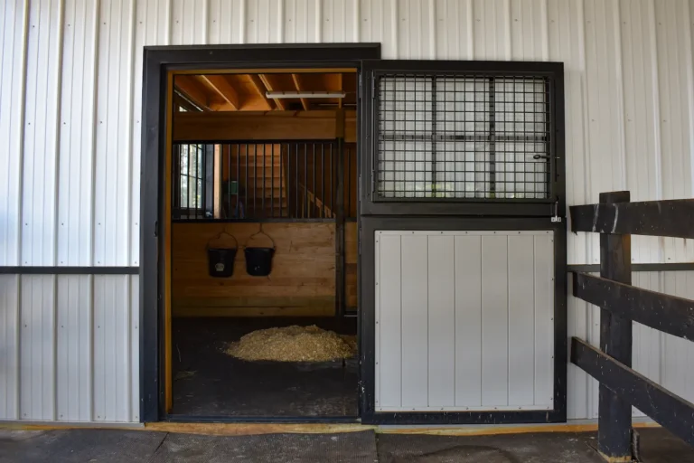 Dutch door 768x512