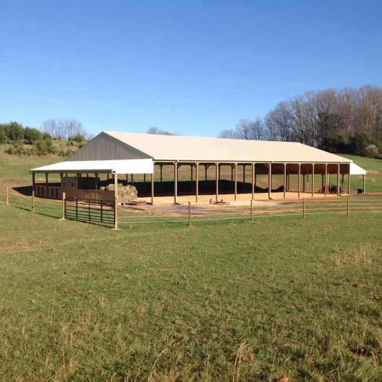 Riding arena 768x768