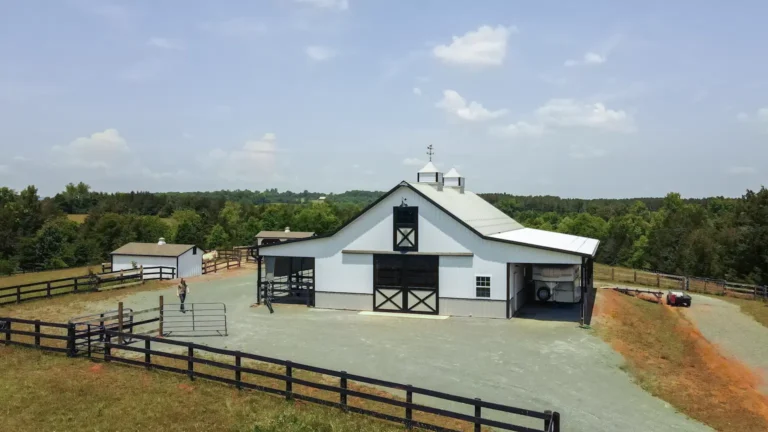 Stable 1 768x432